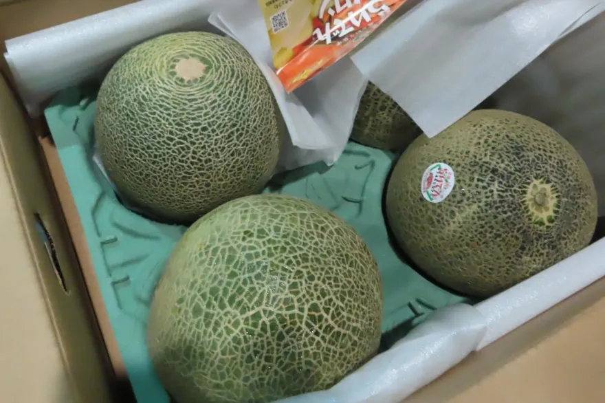 快訊/北海道哈密瓜被檢出農藥殘留！美國非基改黃豆、印度白米都上榜