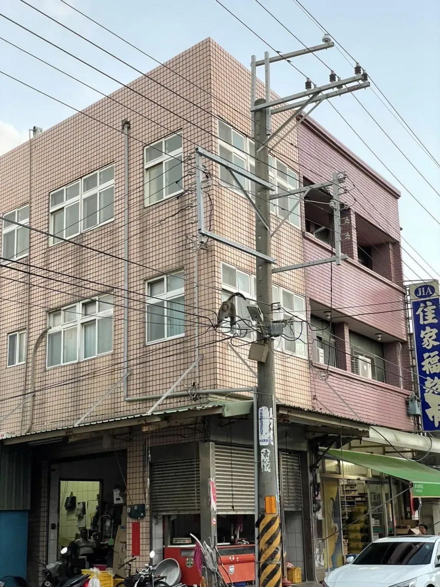 影/誰啃了雞？彰化畜禽斷肢殘翅「疑猴下手」　案情逆轉！兇手狗腳印現身
