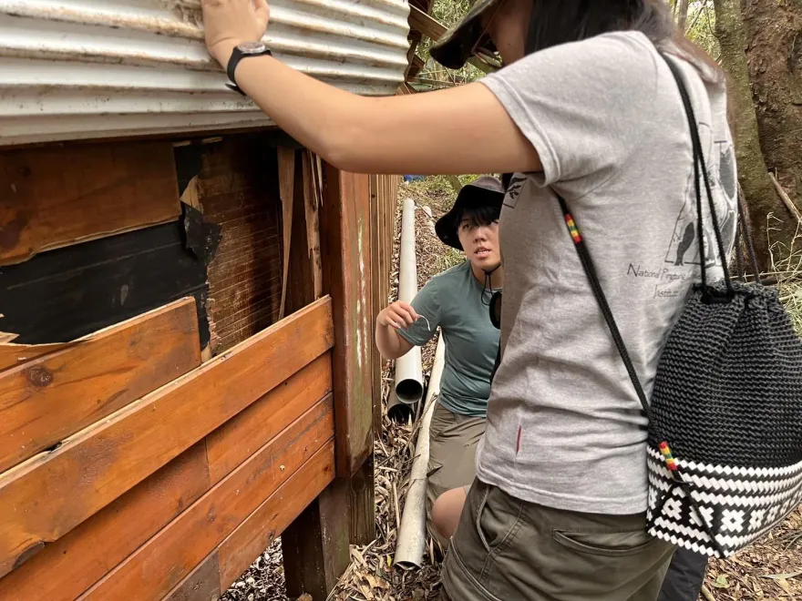 高屏黑熊活動範圍接近淺山！林業保育署籲：發現熊蹤務必立即通報