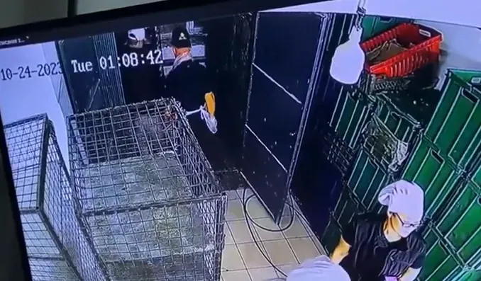 影/恐怖瞬間曝！賣場貨梯突墜下釀1死　同事反應神速跳出逃死劫