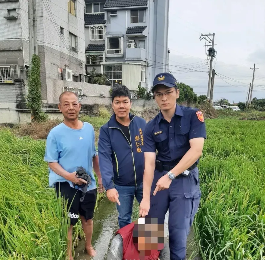 影/偷電線露餡　新竹竊賊「殭屍姿」倒臥稻田被活逮