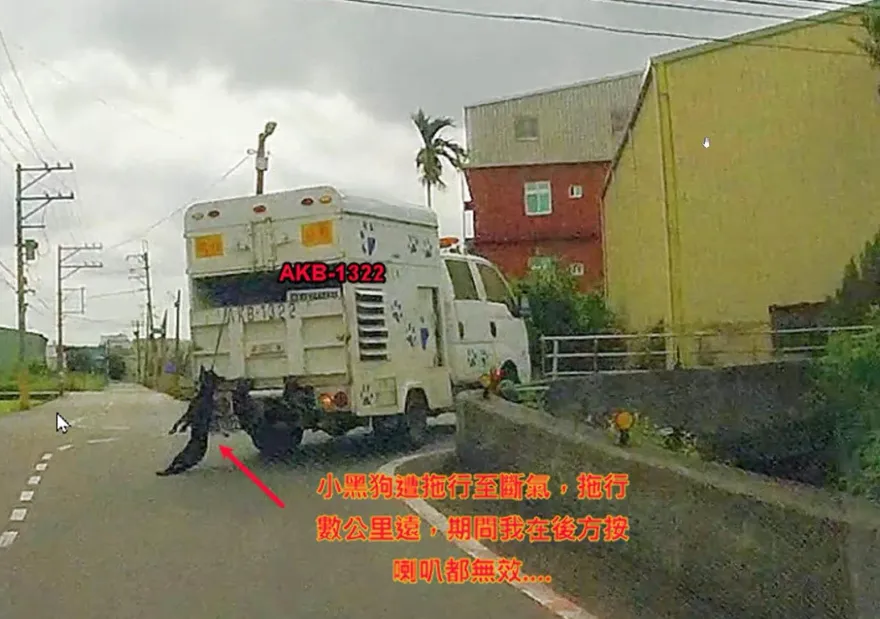 大黑狗垂吊氣絕…他駕車目擊痛心！　農業局還原事發經過：狗狗沒死