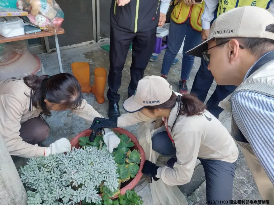 台南歸仁區爆2種型別登革熱！憂交叉感染　羅一鈞：下周起非熱區恢復PCR