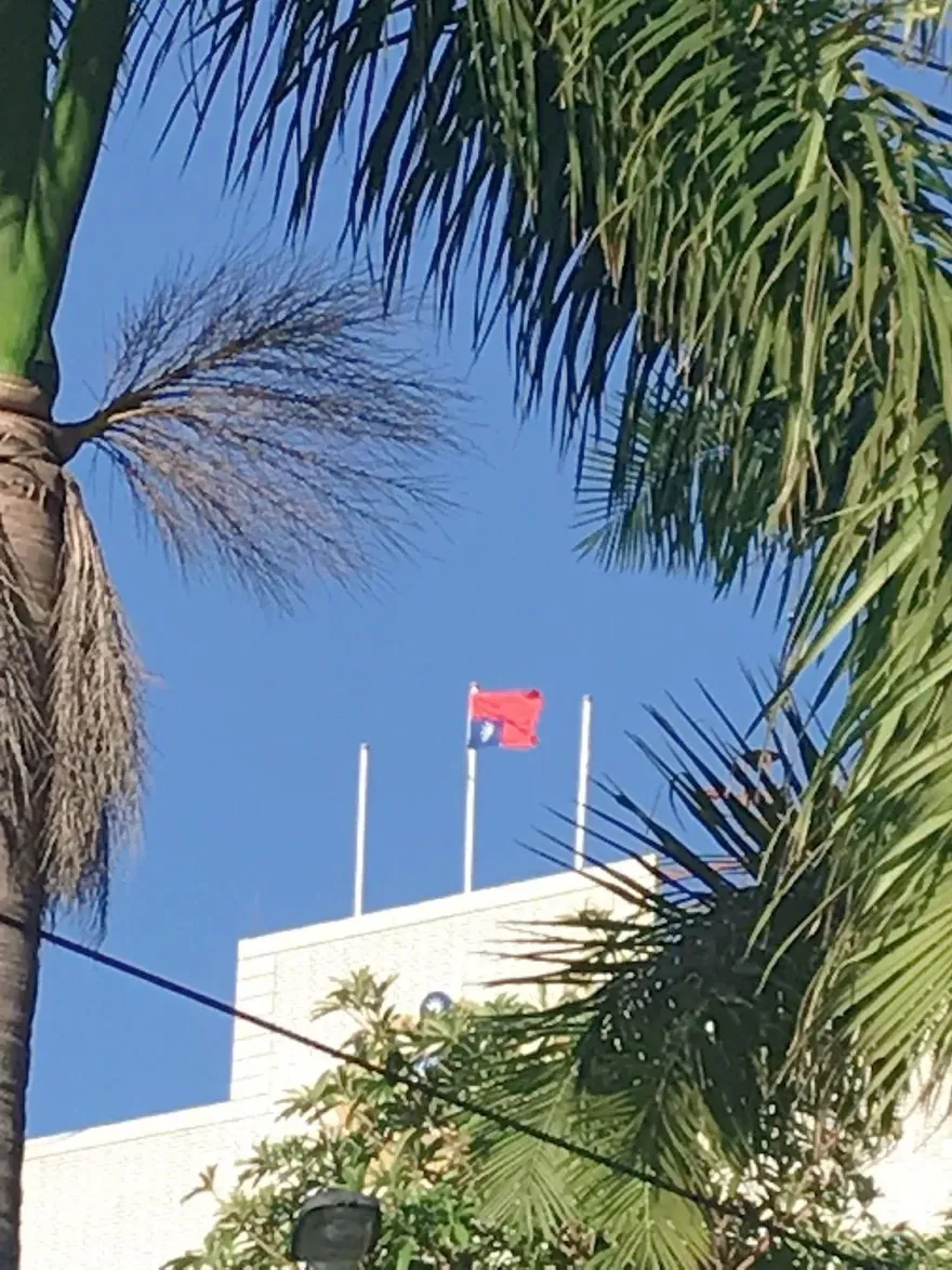 快訊/烏龍再現！花蓮後備指揮部驚見「倒掛國旗」　軍方推「新兵失誤」釀禍