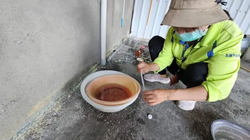 高雄市登革熱仍處高原期！衞生局：雖天氣轉涼　但仍是病媒蚊大量孳生的時節