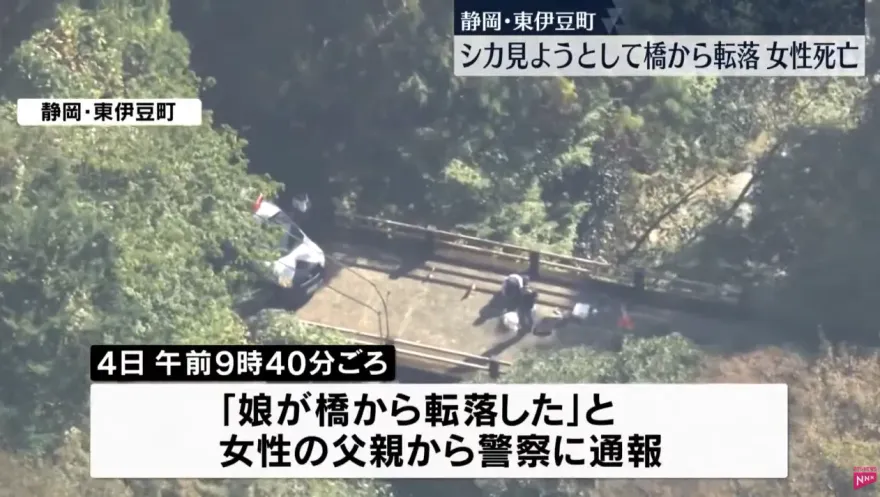 影/女子想拍野鹿卻不慎墜落40公尺橋下身亡　手機拍下墜橋前一刻照片