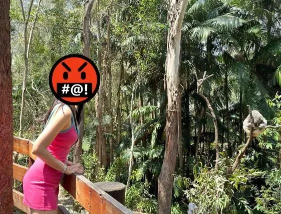 崩潰！阿喜休假遊澳遭襲胸　兇手正面照曝光遭全網肉搜