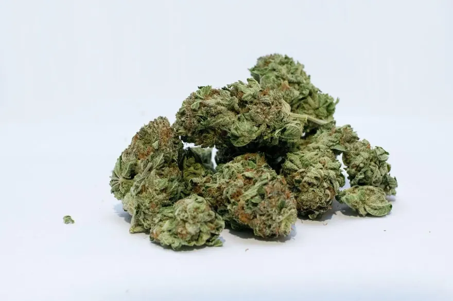 網紅「麻」煩連環爆！美國心臟協會研究：吸大麻心臟衰竭風險「提高34%」