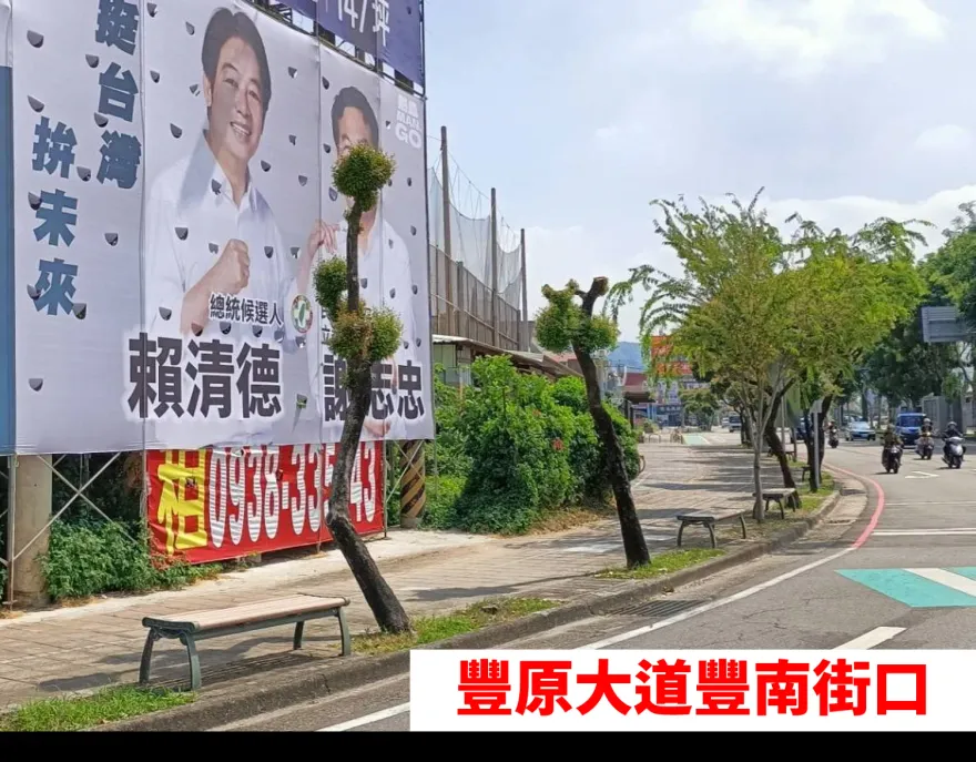賴神自打臉？綠批特權包庇立委參選人「害路樹消失」　中市府回應了