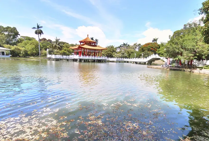 快訊/台南中山公園水池驚見浮屍　嚇壞晨運民眾