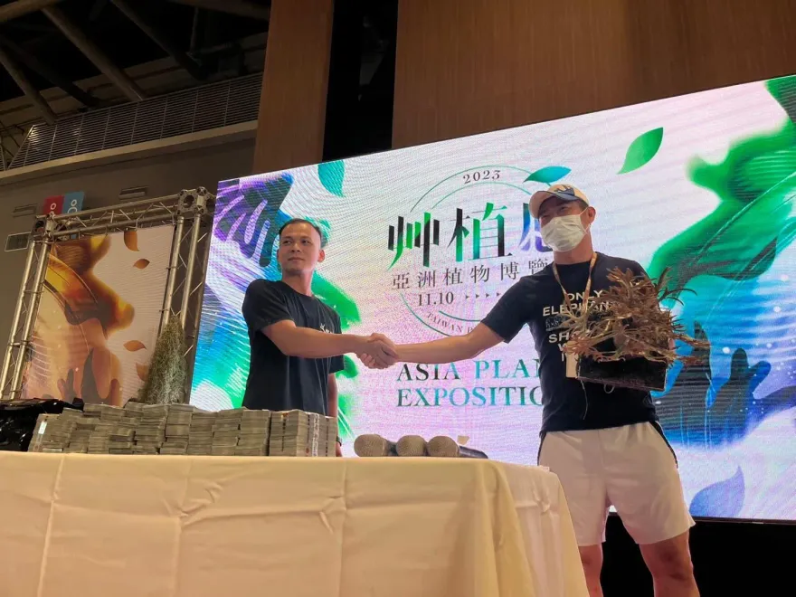 影/霸氣！砸1000萬搶標「金童」鹿角蕨幼苗　珍稀畫面曝光