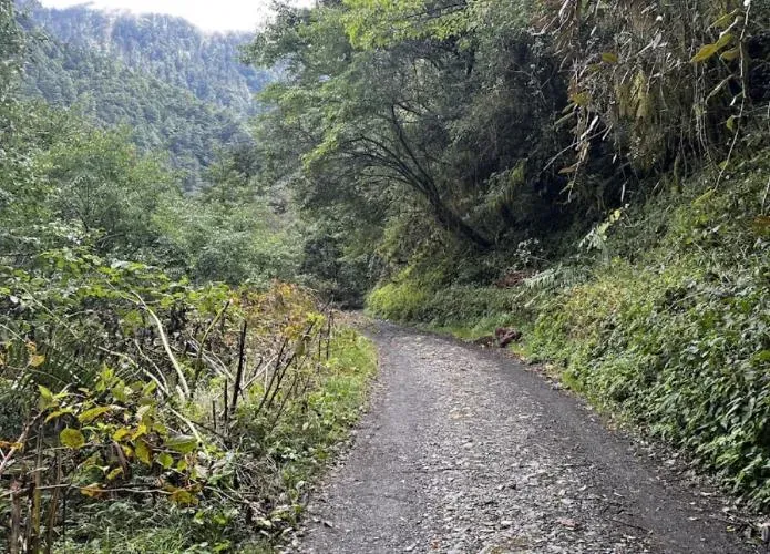 爬合歡溪步道「拍團體照失足墜谷」　7旬翁全身骨折身亡