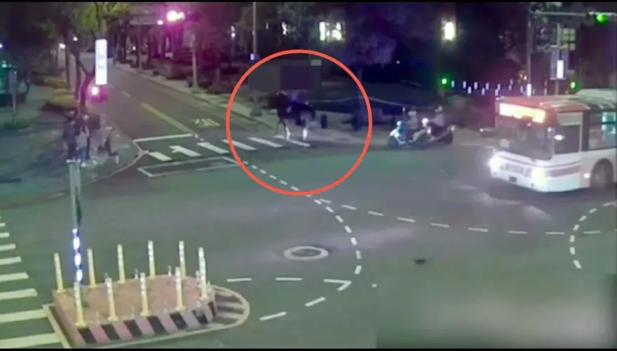 影/三峽直擊「男子騎駿馬遊車河」　警：已違規卻無法罰