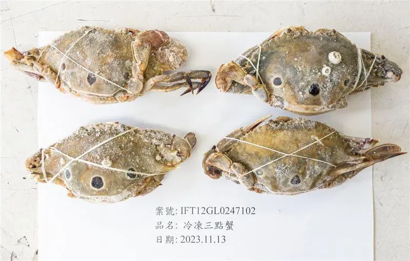 巴基斯坦三點蟹再驗出重金屬鎘超標！近1萬5千公斤螃蟹全數銷毀
