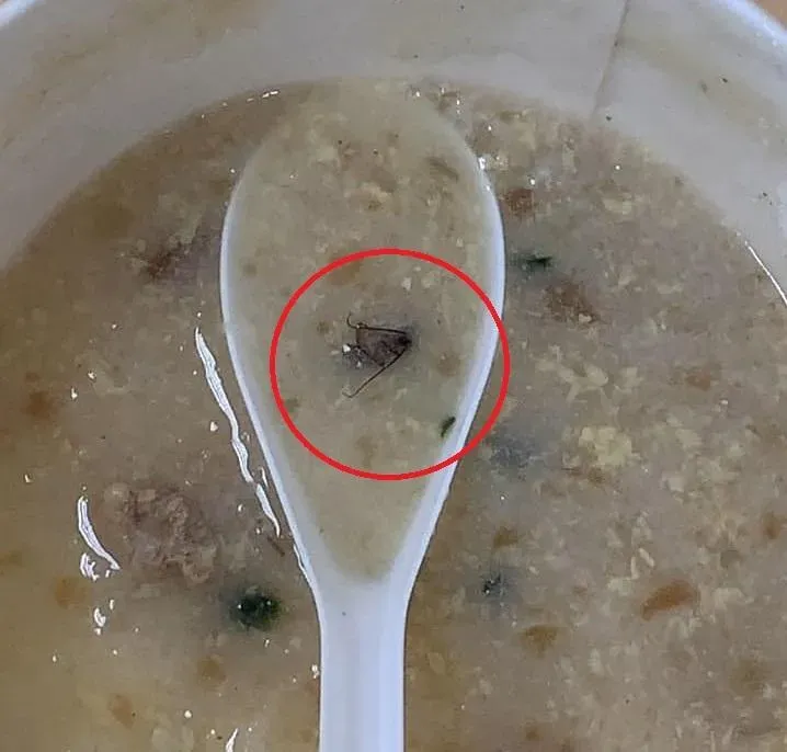 神秘配料讓美食變噩夢！他開心吃飯吃到「隱藏料理」　噁到全吐光