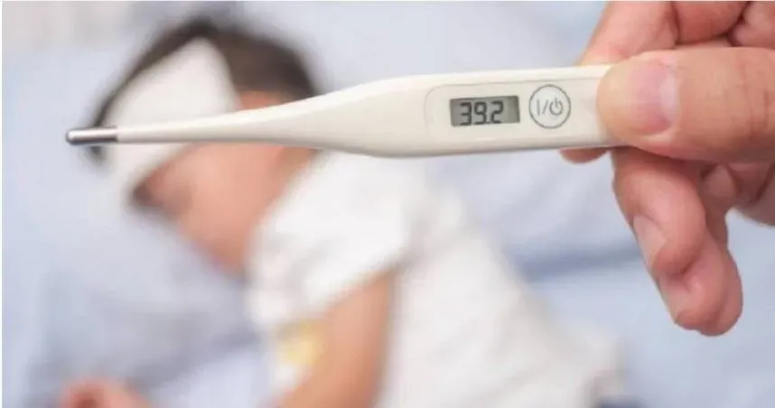 全台「夯番薯」！幼兒中暑死亡率最高達8成　醫揭「3撇步」舒緩孩子症狀