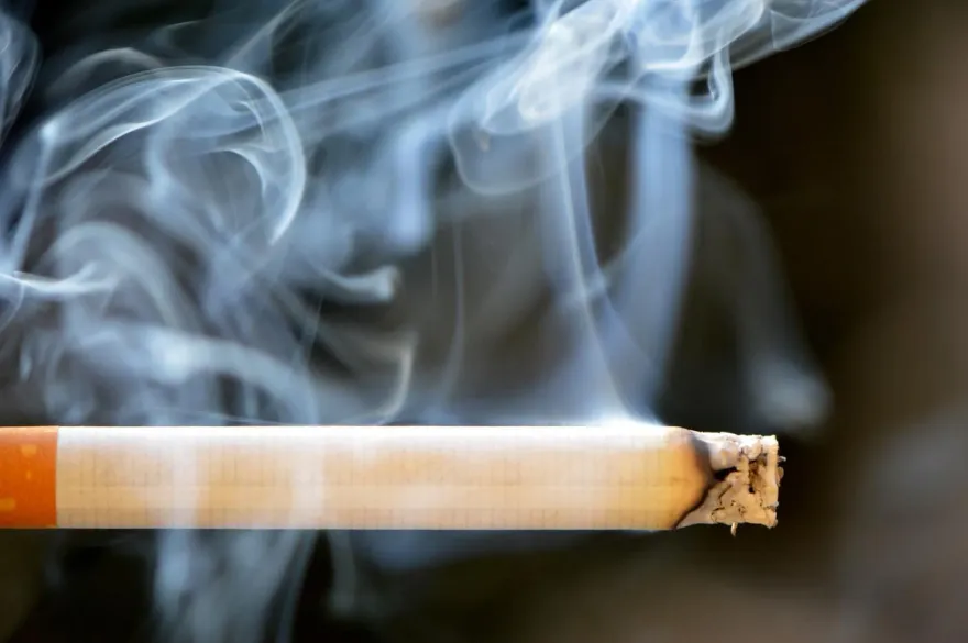 二、三手菸增30％罹癌風險！營養師曝「恐怖危害」　6護肺食物記起來