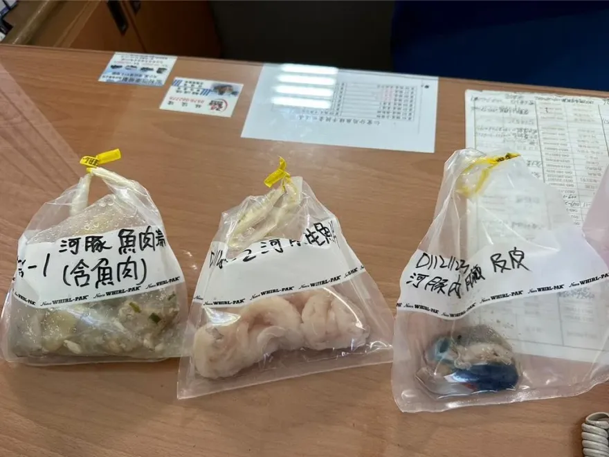 南投小吃店老闆吃河豚身亡！解剖推斷「食用過多」喪命