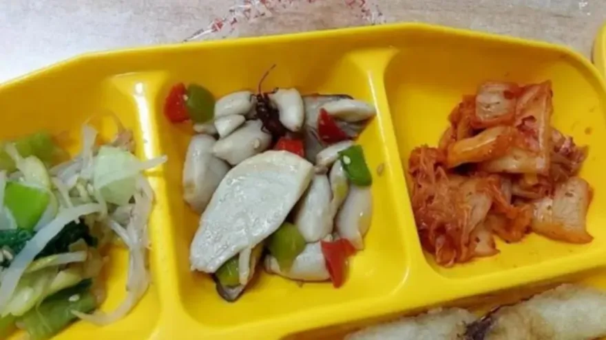 看得到觸角！高中午餐一周出現兩次蟲　學生險多額外補充蛋白質
