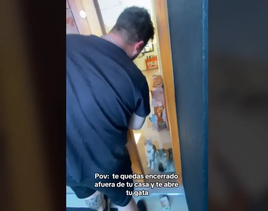 影/男子忘帶鑰匙遭反鎖門外...天才貓咪幫開門　網狂讚「年度最佳影片」