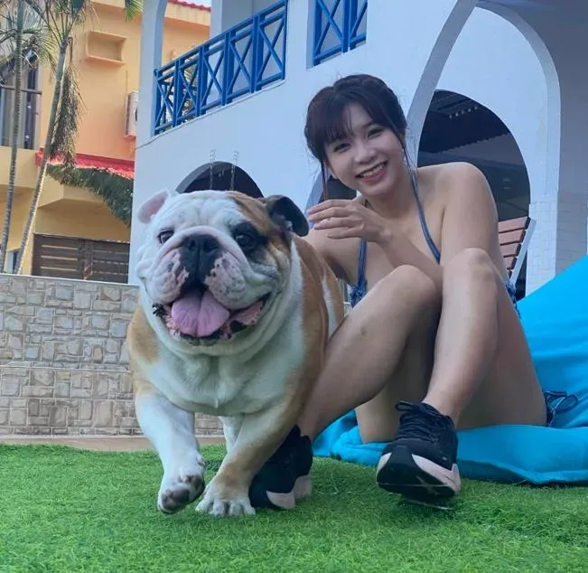 AV女優吳夢夢愛犬搭車「掉毛、流口水」　司機怒告「毀損罪」！