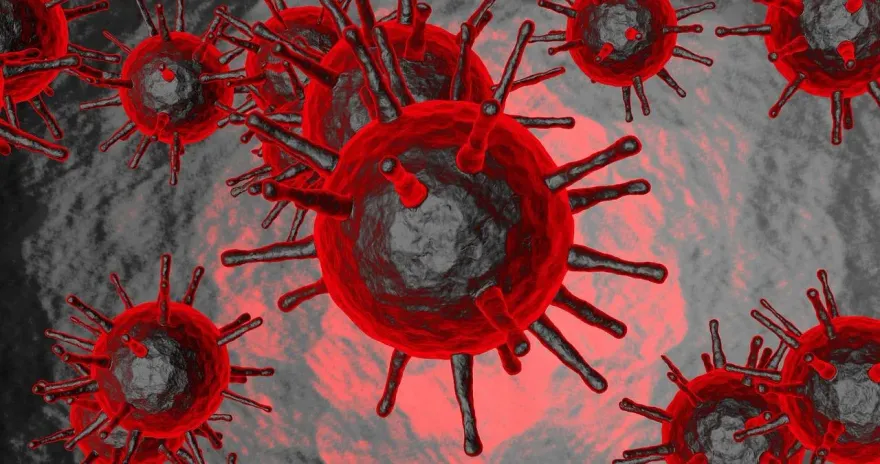 美國4人染H5N1...還有1人狀況不明！醫示警「3症狀」要小心