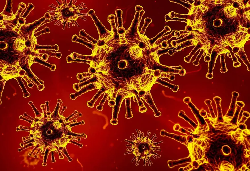 美出現新型病毒「致死率70％」！科學家曝「恐怖關鍵」：恐人畜共通