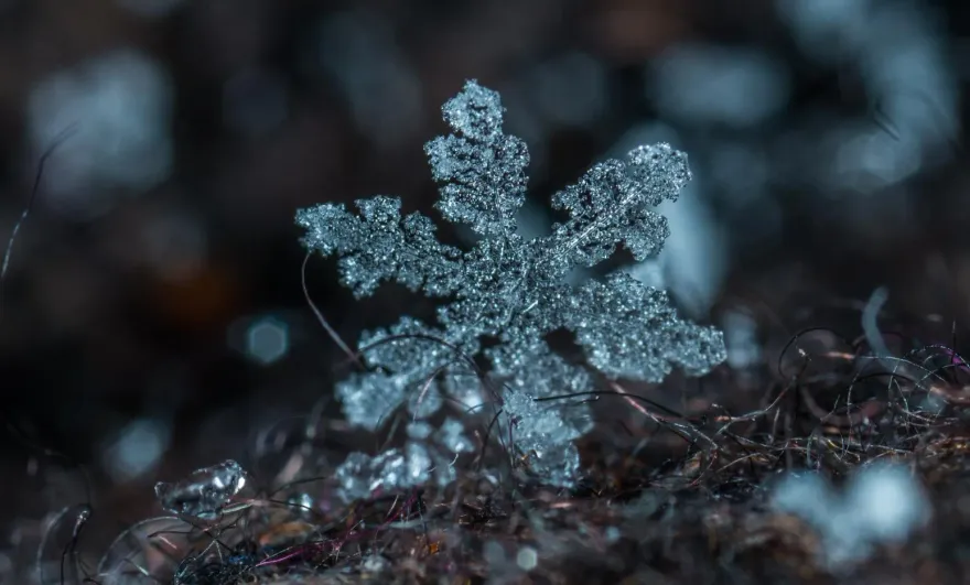 追雪族快衝！寒流南下全台有感寒冷　2000公尺以上高山下雪時間曝光