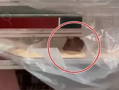老鼠爽啃備料　台中一中商圈「甜甜圈名店」爆食安疑慮…衛生局說話了