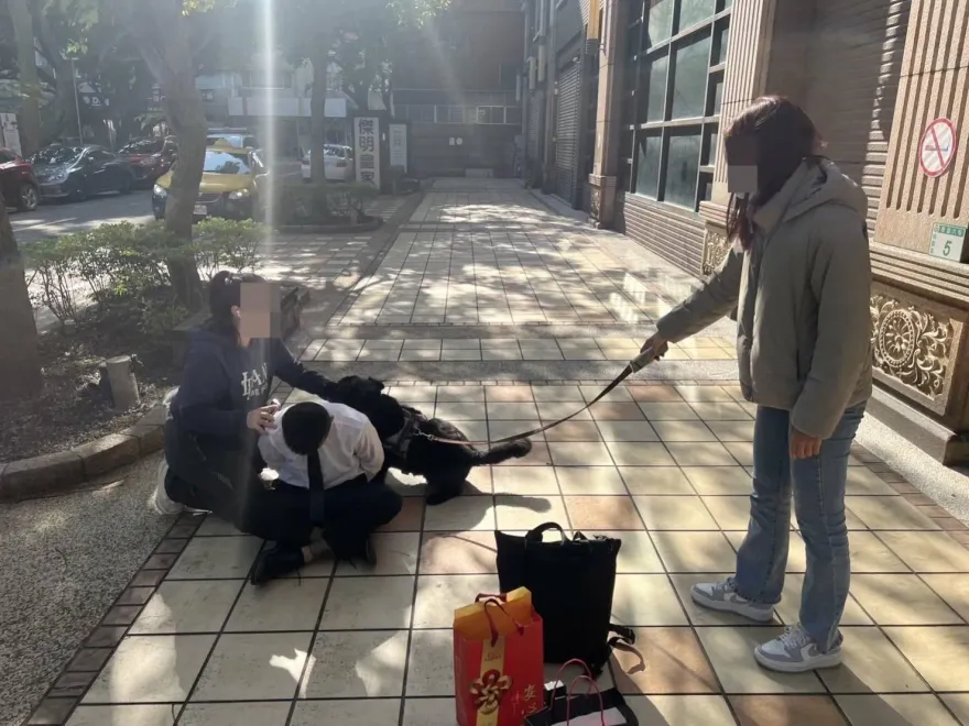 影/終結流浪！桃園婦投資遭誆300萬　警犬「妞妞」公園逮詐建功