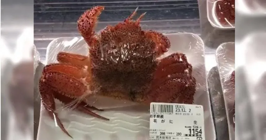 真‧最生猛海鮮！超市密室逃脫「毛蟹衝破保鮮膜」　逾2千萬網爭睹