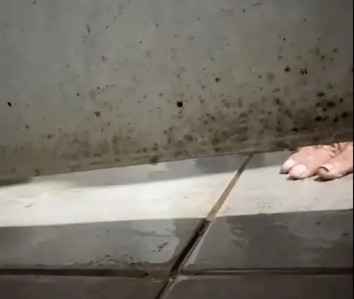 影/偷窺過程曝！新竹內灣老街女廁驚見「趴地偷窺」色清潔工　警：已鎖定嫌犯身分