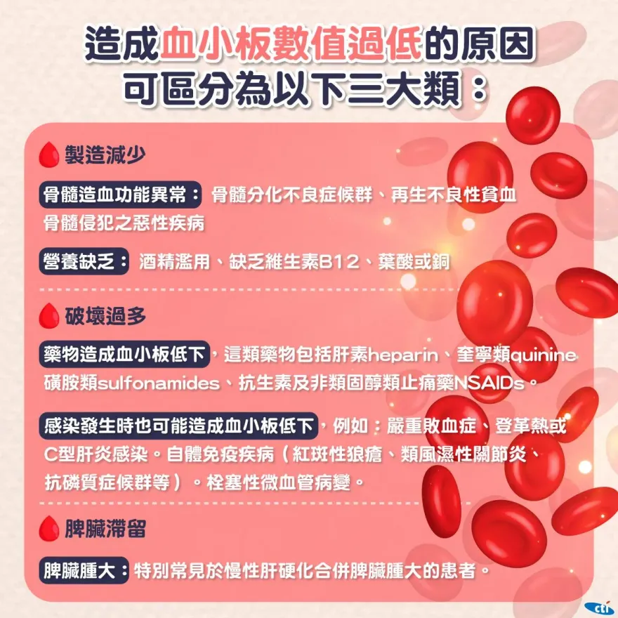 周海媚真實病因曝「血小板低下」！醫：不明原因淤血要注意「嚴重恐致命」