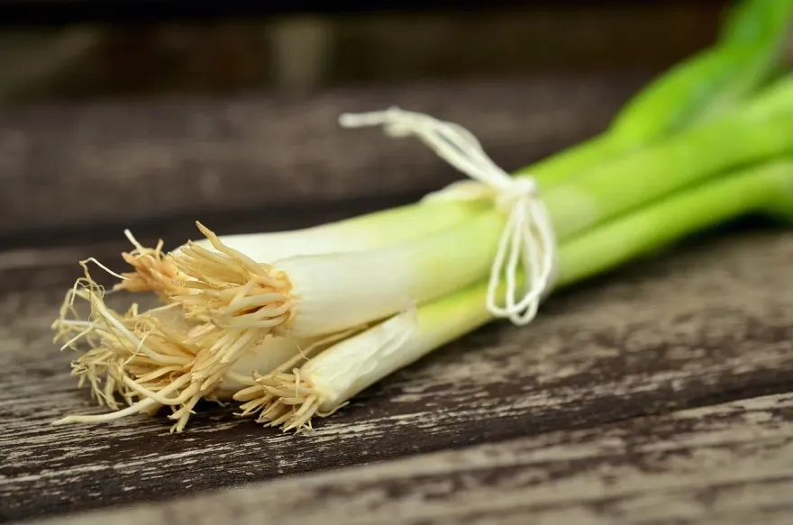 食道癌7年沒復發靠1菜！醫曝能「抑制3癌症」 揭6大好處
