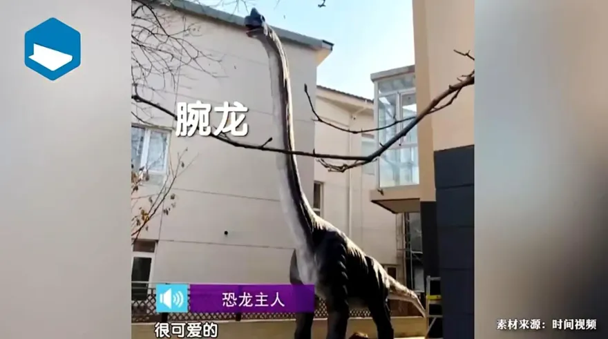 影/真「恐龍」家長！寵孩砸44萬買15米高腕龍模型　鄰開窗「四目相對」嚇到睡不著