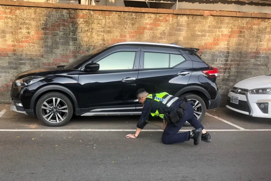 影/婦騎車錢包掉大把鈔票隨風吹　台中警跪地幫撿「5萬現金」
