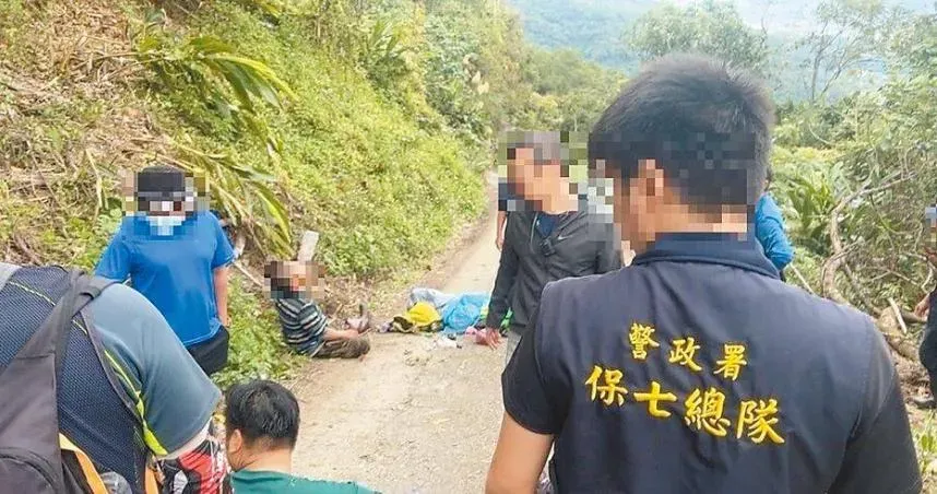 盜採國有地逾10萬元牛樟芝！　花蓮山老鼠「案件還在審」又被逮...還辯自用