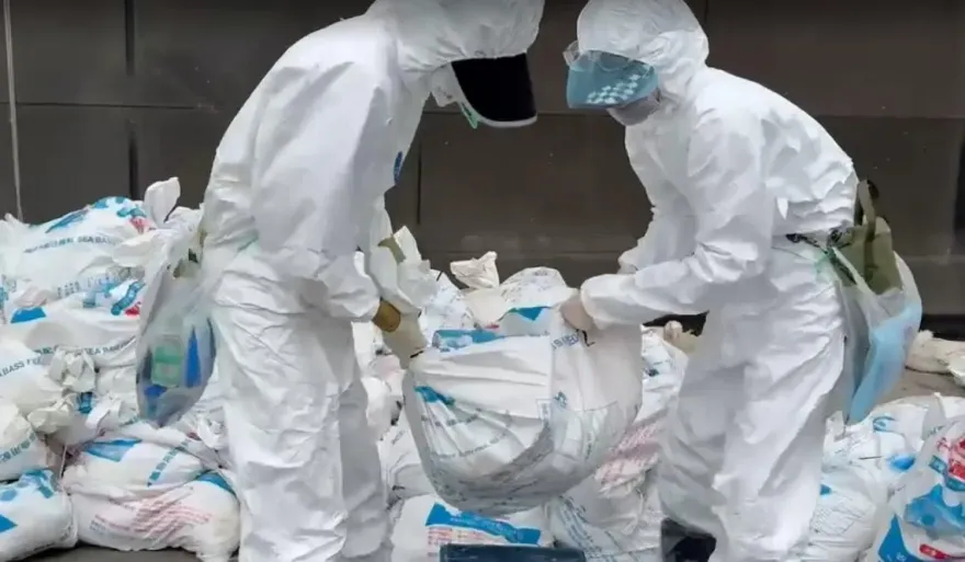 影/大林鵝場禽流感H5N1現蹤！1.2萬隻大鵝大撲殺　清場一整夜