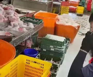 影/6度C還沒來！環南市場「下雪了」水管故障噴白沫　雞肉攤商超想哭