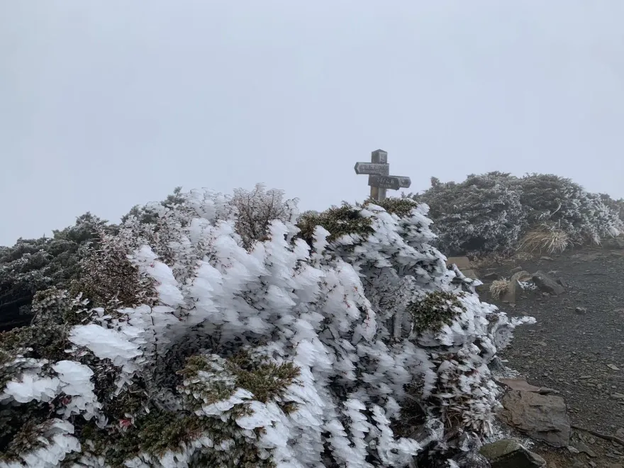 影/雪山主峰下冰霰！樹叢結滿銀白霧淞　超美畫面曝光