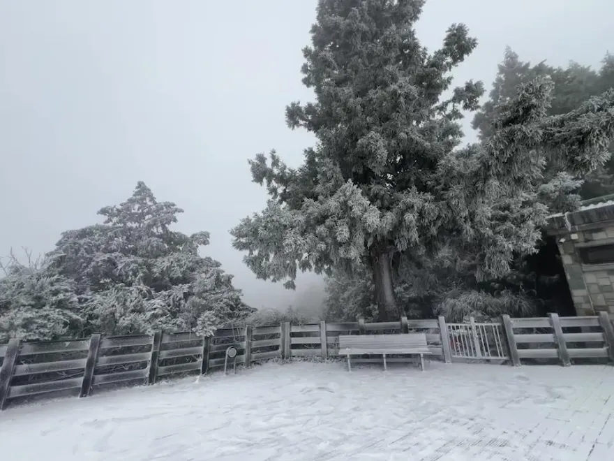 快訊/賞雪囉！太平山管制站前塞滿賞雪人潮　白雪靄靄遊客嗨翻