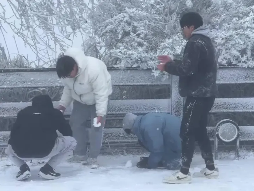 快訊/太平山清晨積雪1公分！學生嗨翻「打雪仗」實現賞雪自由