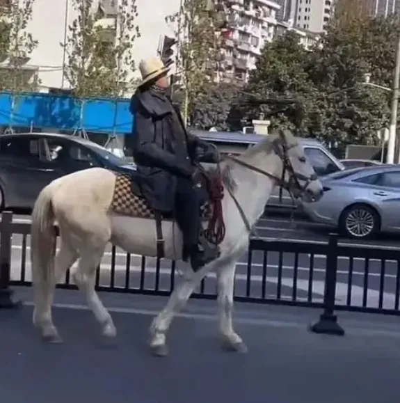 陸男上海街頭騎馬被警攔下開罰　網嘲：馬路不能讓馬走