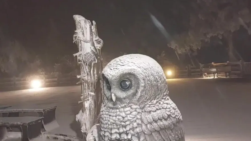 影/寒流再度發威！太平山入夜又降雪　遊客嗨翻摸黑踏雪賞霧淞