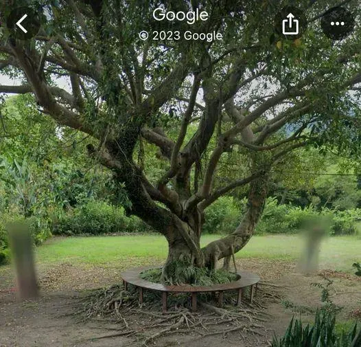 「賴皮寮」街景中的掃地國安人員不見了？網嚇壞：靈異照片