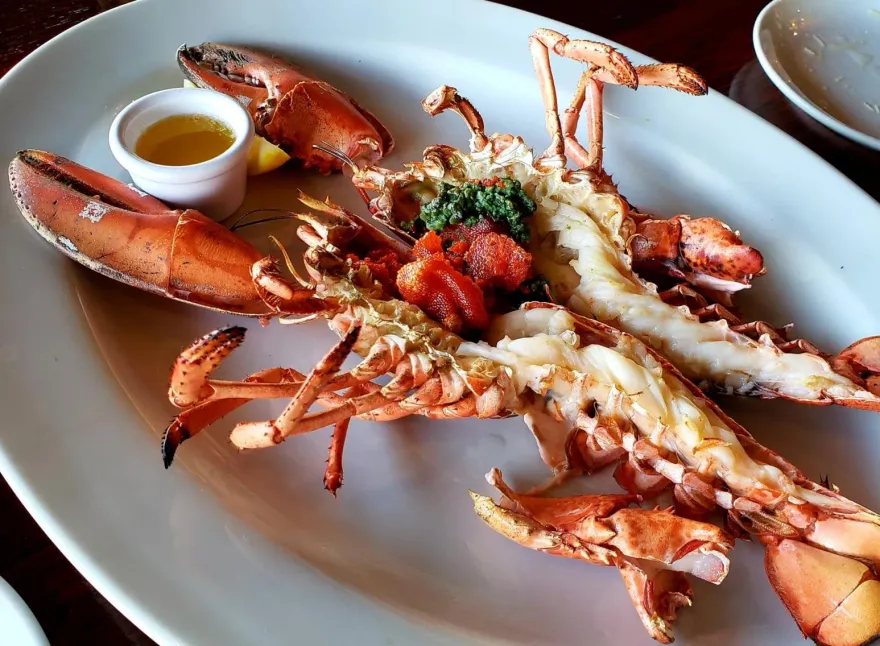 年末聚餐、尾牙大魚大肉不忌口？恐引痛風終身吃藥控制　營養師推預防6飲食
