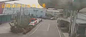 超貴「烏魚子」曬車頂遭竊！警調監視器追兇手竟是「喵星人」叼走