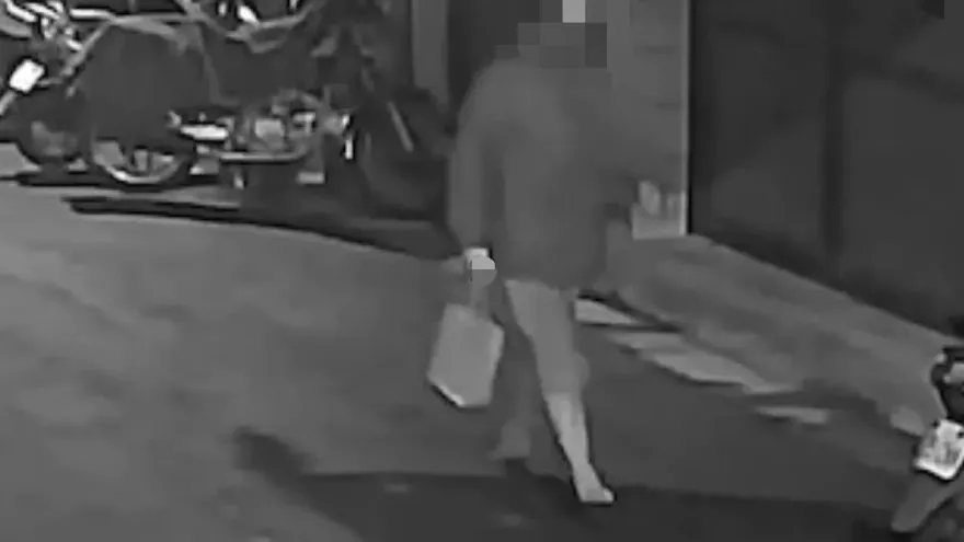獨家/高中女夜歸遭變態尾隨！「脫褲露鳥逼手淫」板橋警火速逮人