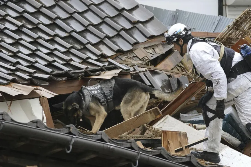 汪汪隊立大功！能登強震搜救犬發揮靈敏嗅覺　瓦礫堆中接二連三發現受困民眾