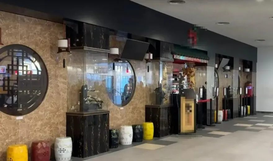 噁爆！台中迴轉火鍋店豆皮藏「7隻活蟑螂」　食安處稽查勒令改善